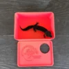 Strawberry Red Leopard Gecko humid hide, dry hide, food bowl, calcium & water dish combo - Image 11