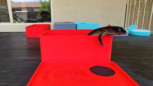 Strawberry Red Leopard Gecko humid hide, dry hide, food bowl, calcium & water dish combo - Image 10