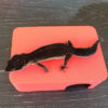 Strawberry Red Leopard Gecko dry hide