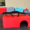 Strawberry Red Leopard Gecko dry hide - Image 4