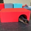Strawberry Red Leopard Gecko dry hide - Image 2