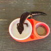 Strawberry Red Leopard Gecko food bowl calcium dish & water dish