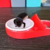 Strawberry Red Leopard Gecko food bowl calcium dish & water dish - Image 13
