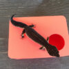 Strawberry Red Leopard Gecko humid hide, dry hide, food bowl, calcium & water dish combo - Image 3