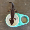 Sky Blue Leopard Gecko humid hide, dry hide, food bowl, calcium & water dish combo - Image 11