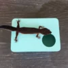 Sky Blue Leopard Gecko humid hide, dry hide, food bowl, calcium & water dish combo - Image 7