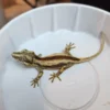 Red Stripe Reticulated Gargoyle Gecko (Interesting Looking!)
