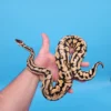 Male YB Pastel Puzzle (585g) - Image 2