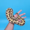 Female Pastel Puzzle (585g) - Image 2