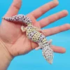 Giant W&Y Mack Snow Leopard Gecko Female - Image 2
