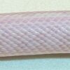 Blizzard Corn Snake - Image 5
