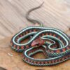 Garter Snakes - Image 3