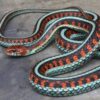Garter Snakes - Image 10
