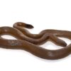 Rubber Boa snake - Image 3