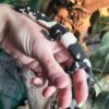 Bell’s Phase Lace Monitor Baby