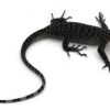 Peach Throat Monitor Baby