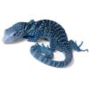 Blue Tree Monitor - Image 3