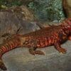 Red Nigerian Uromastyx - Image 2