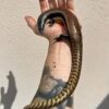 Mueller Skink