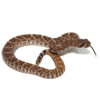 Baby Red Western Diamondback Rattlesnake