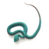 Yellow Wetar Island Pit Viper