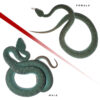 Pair Of Komodo Island Pit Vipers - Image 3