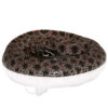 Pygmy Rattlesnake - Image 3